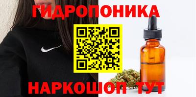 индика Тверь