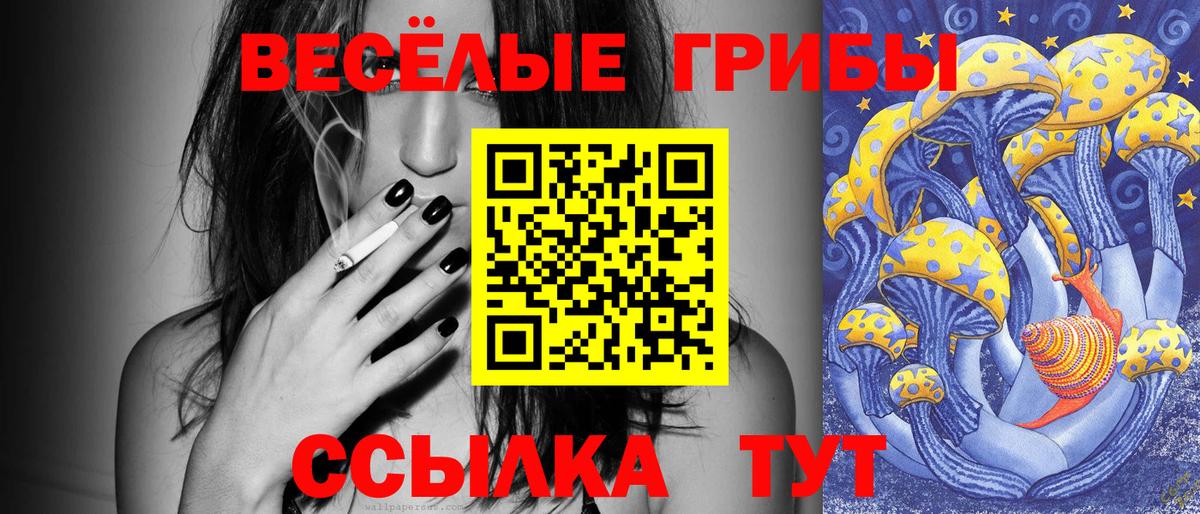 Галлюциногенные грибы Magic Shrooms Сызрань
