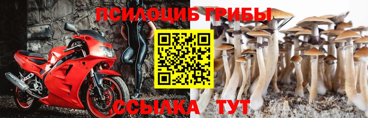 Галлюциногенные грибы GOLDEN TEACHER  Вход с VPN  Сызрань 